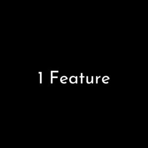 1 Feature